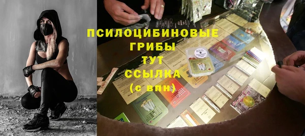 прущие грибы Белокуриха